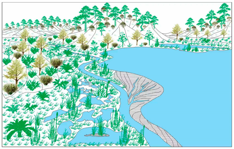 Figure 11