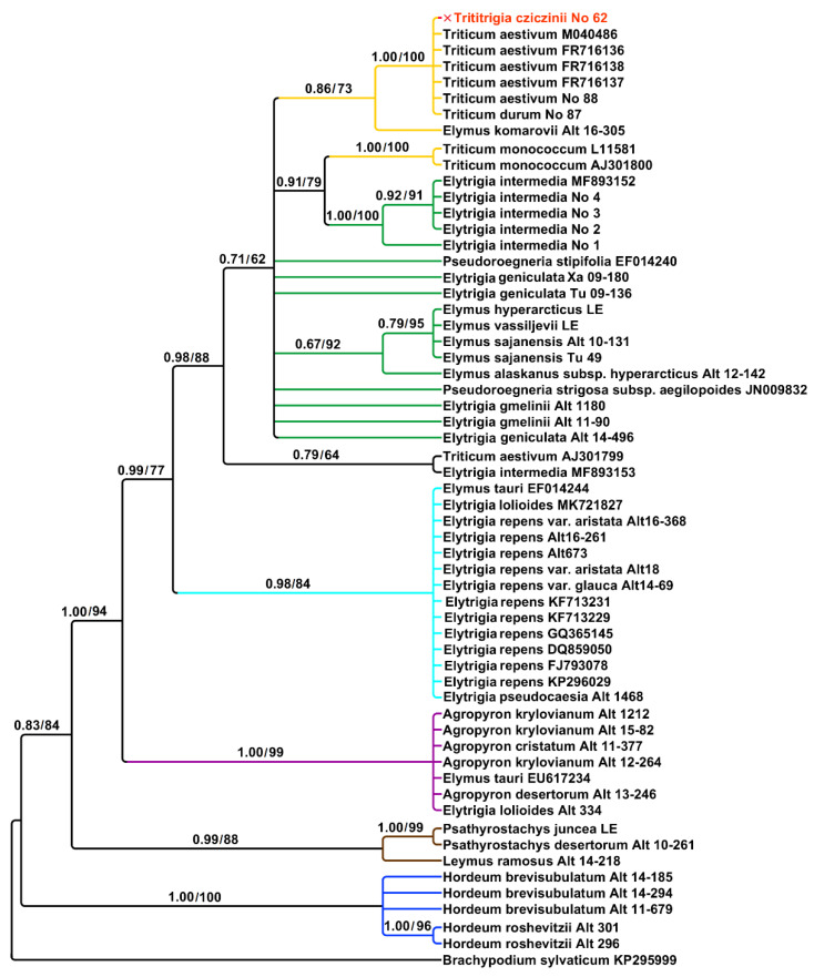 Figure 1
