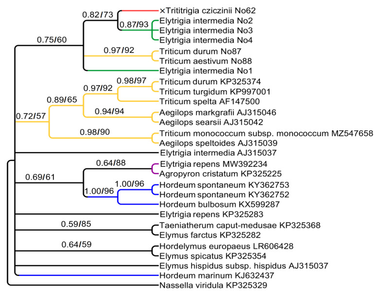 Figure 2
