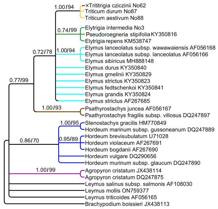 Figure 4