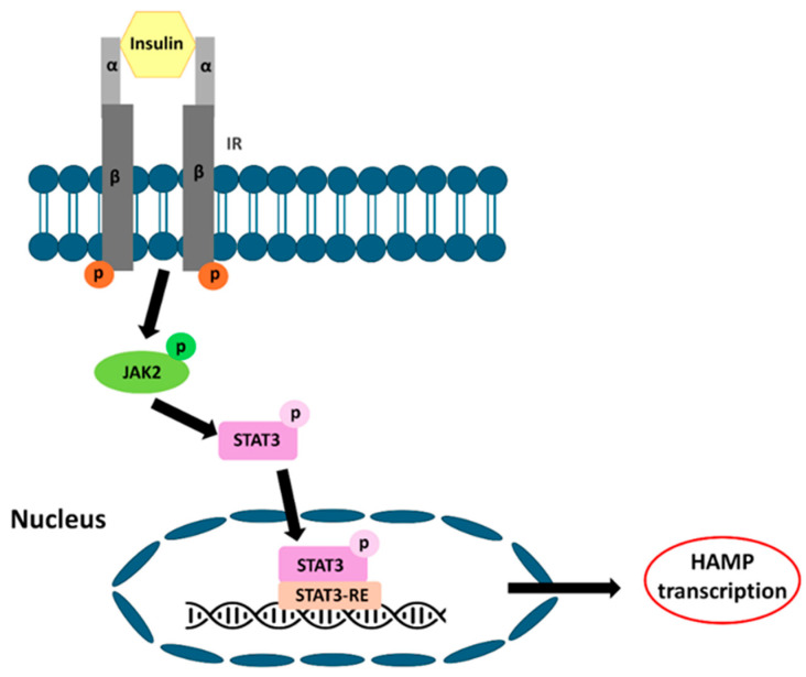 Figure 6