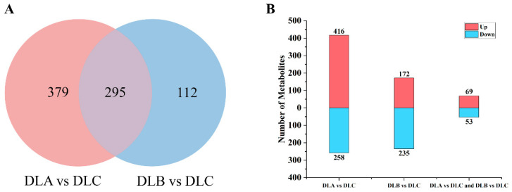 Figure 17