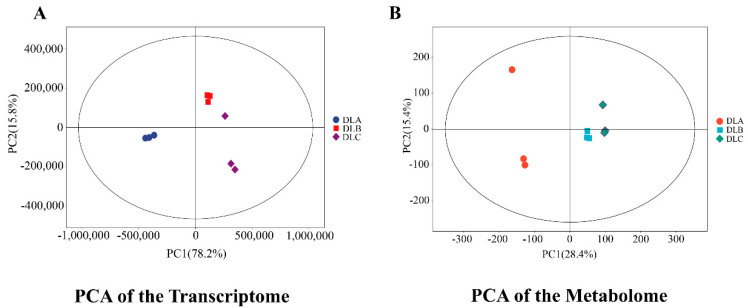 Figure 19