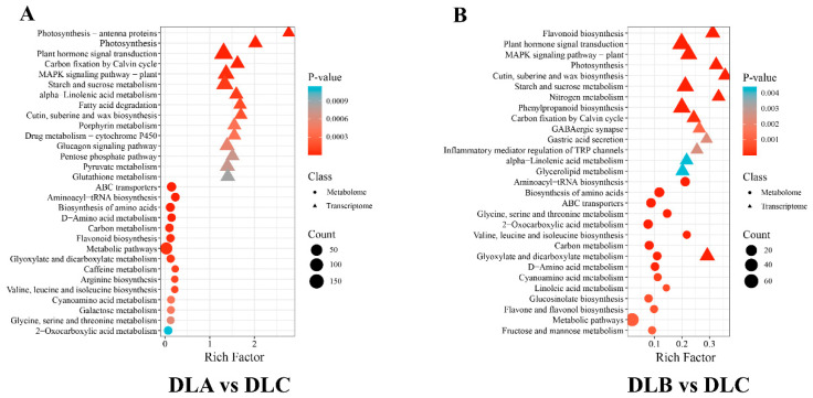 Figure 20