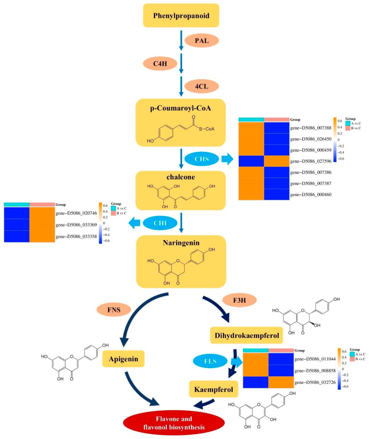Figure 21