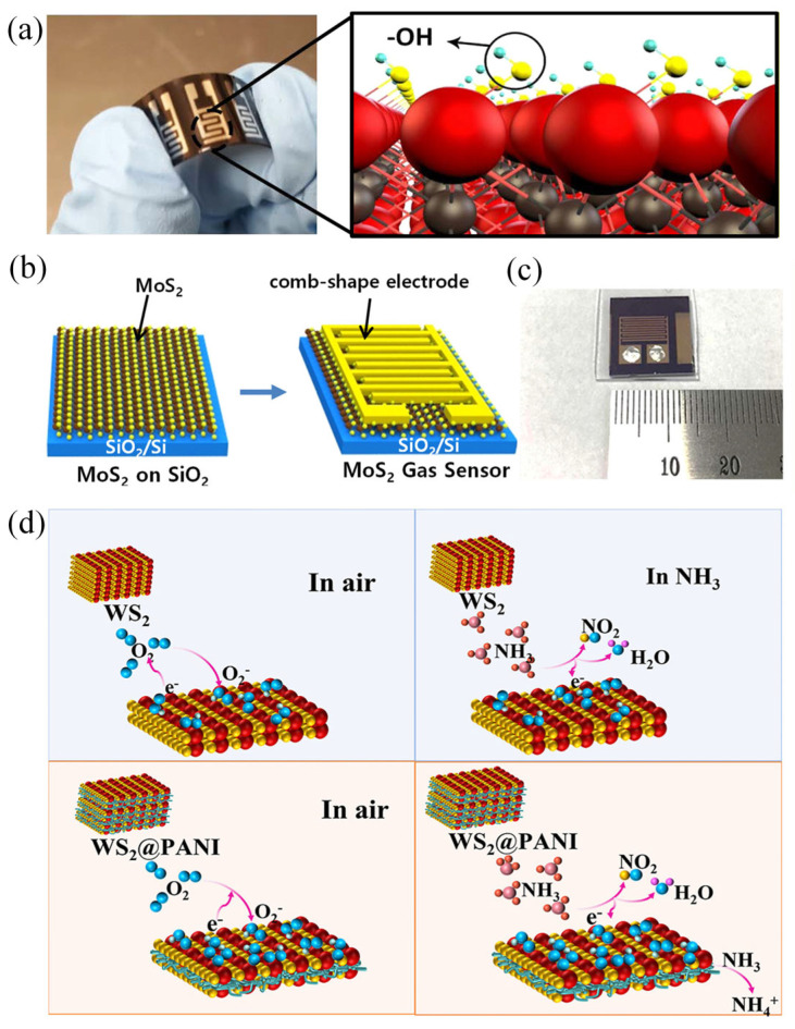 Figure 5