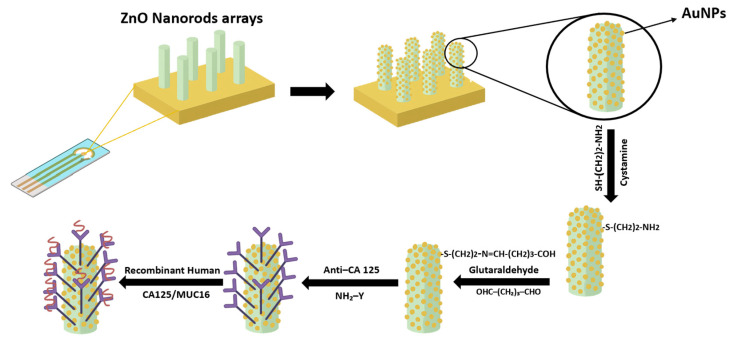 Figure 10