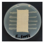 Figure 14