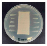 Figure 15