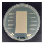 Figure 16