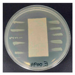 Figure 18