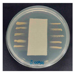 Figure 23