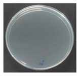Figure 25