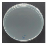 Figure 26