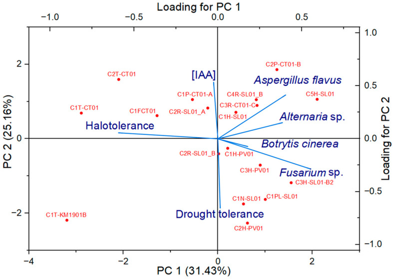 Figure 5
