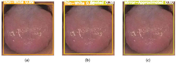 Figure 7