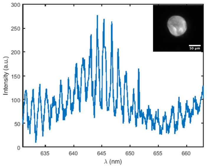 Figure 7