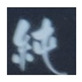 Figure 34