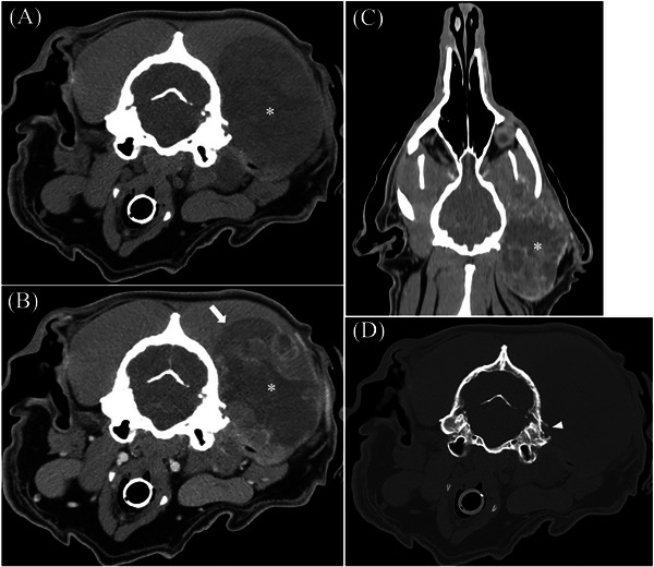 FIGURE 1