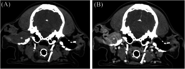 FIGURE 3