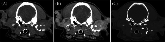FIGURE 2