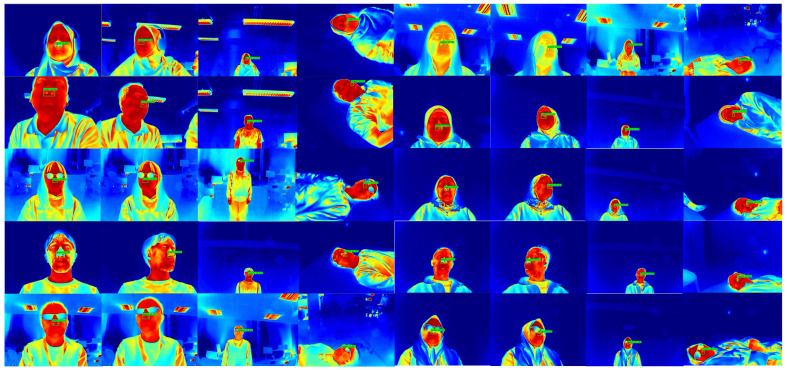 Figure 13