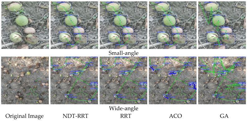 Figure 11