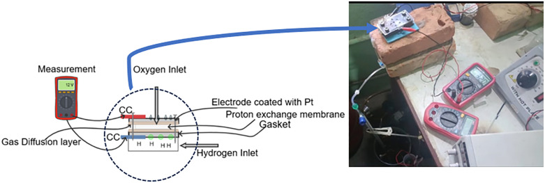 Fig 3