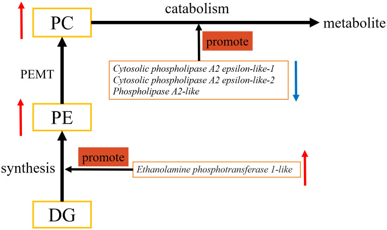 Fig 7