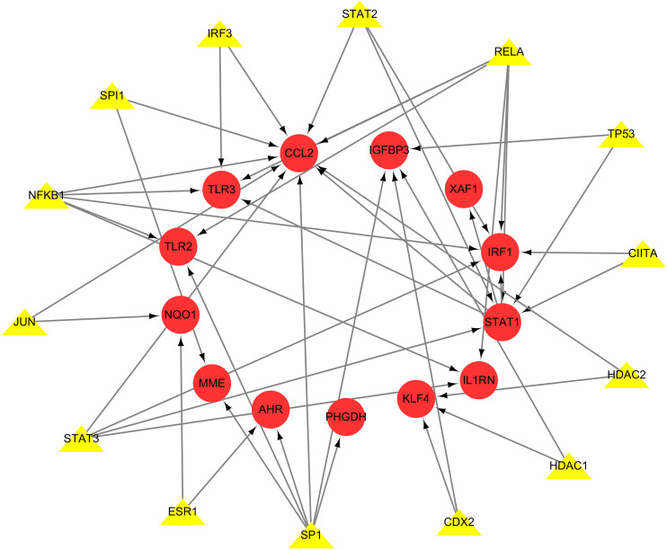 Fig 10