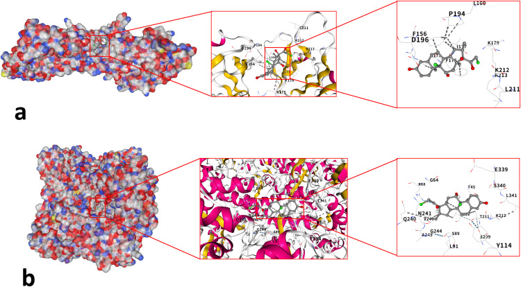 Fig 13