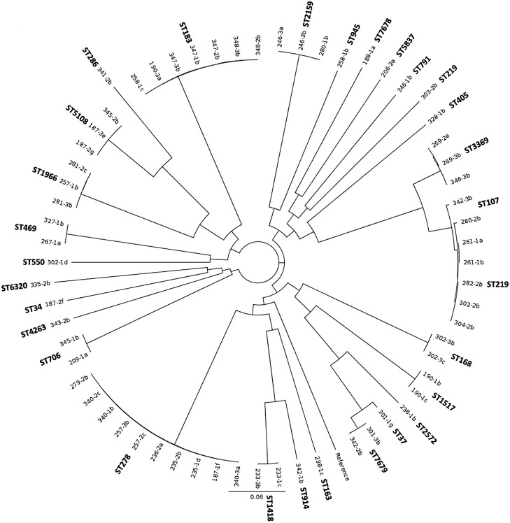 Fig 2