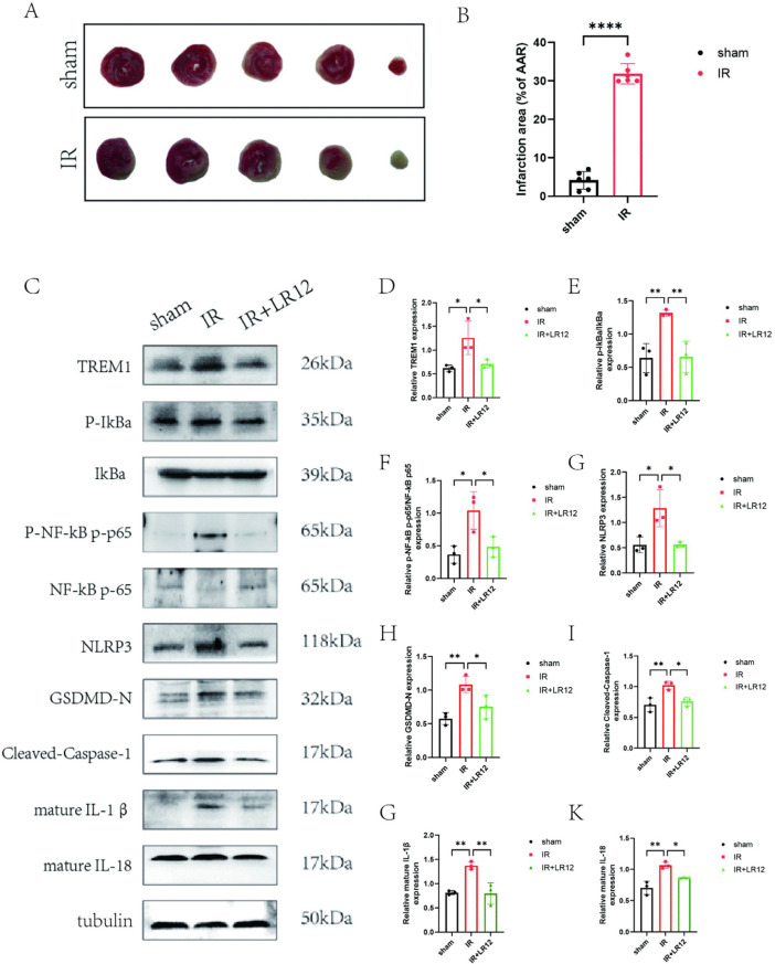 Fig 5
