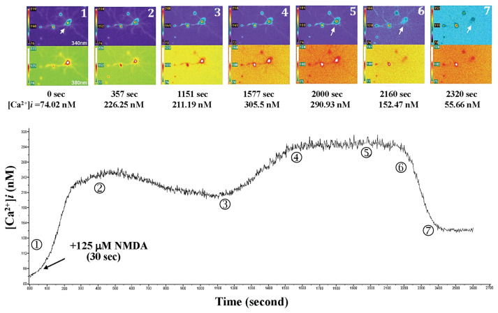 Figure 11