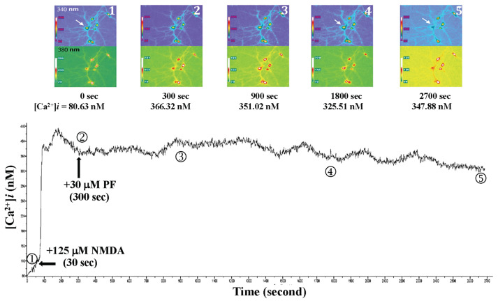 Figure 15