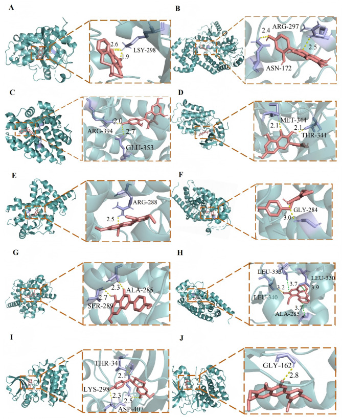 Figure 7