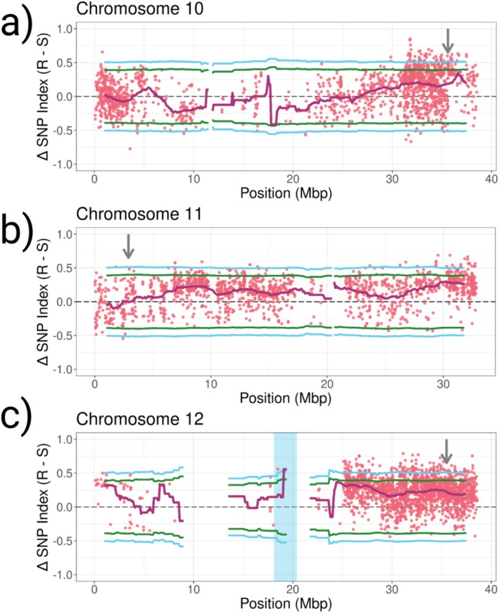 FIGURE 3