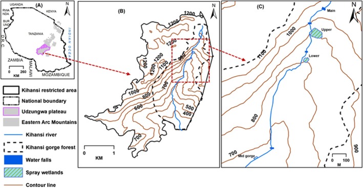 FIGURE 1