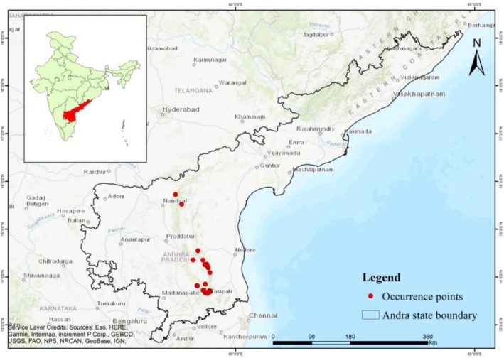 FIGURE 2
