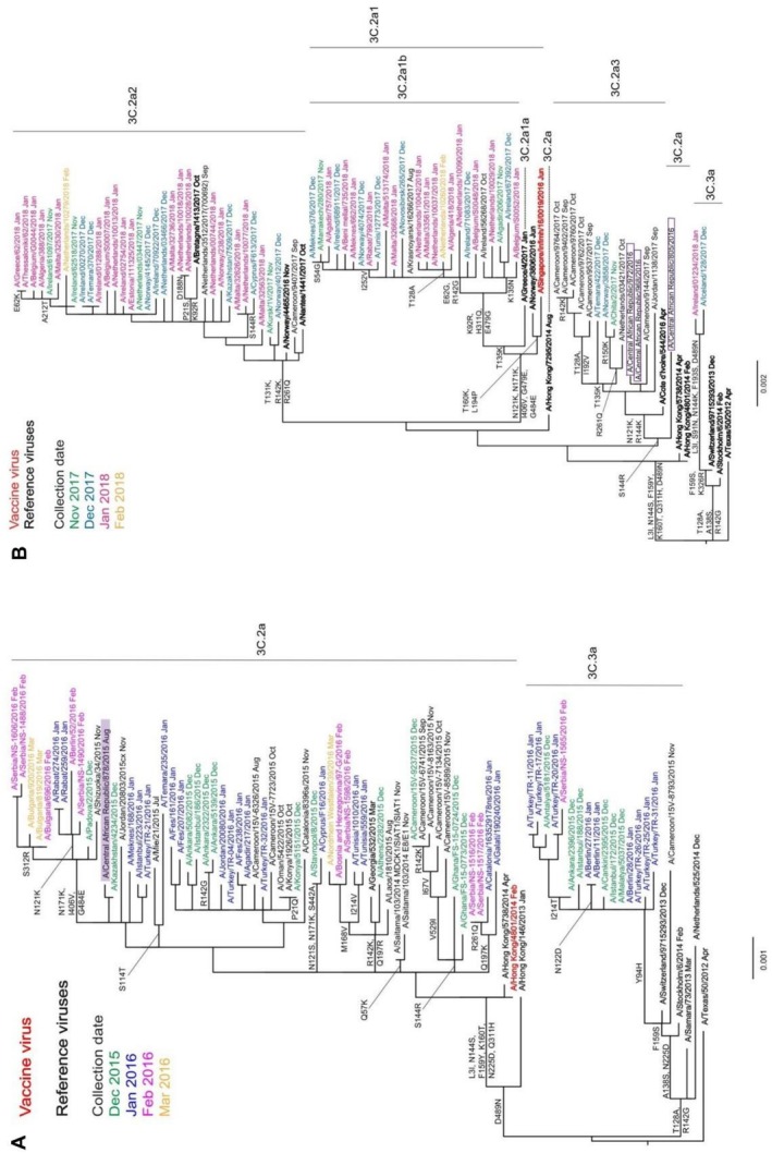 FIGURE 3