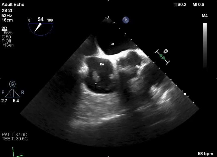 Figure 6