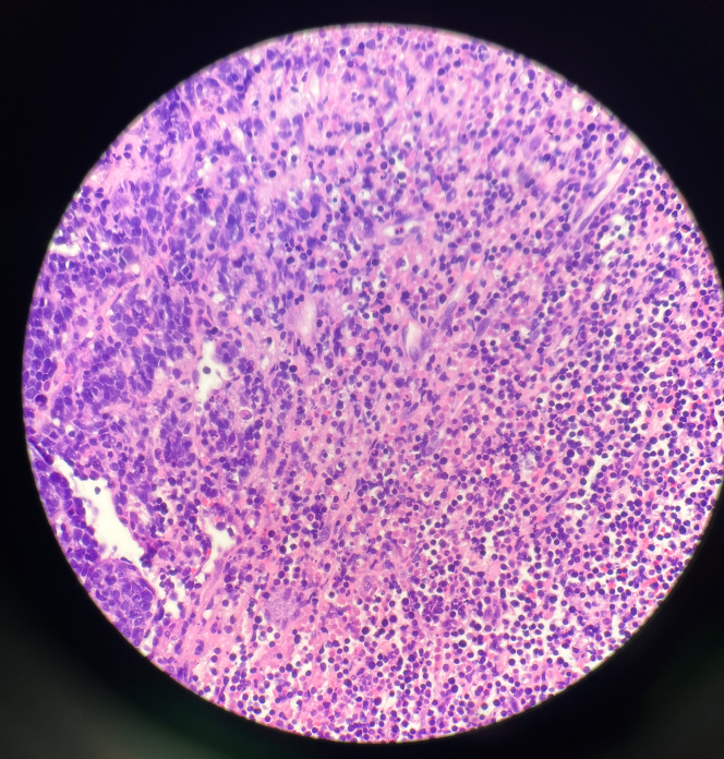 Figure 9