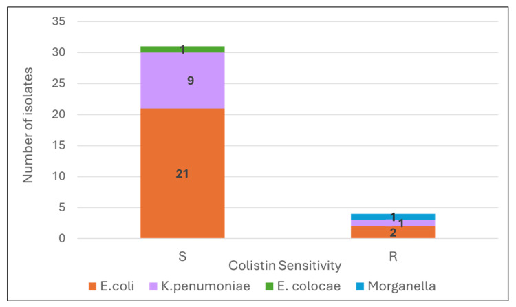 Figure 7