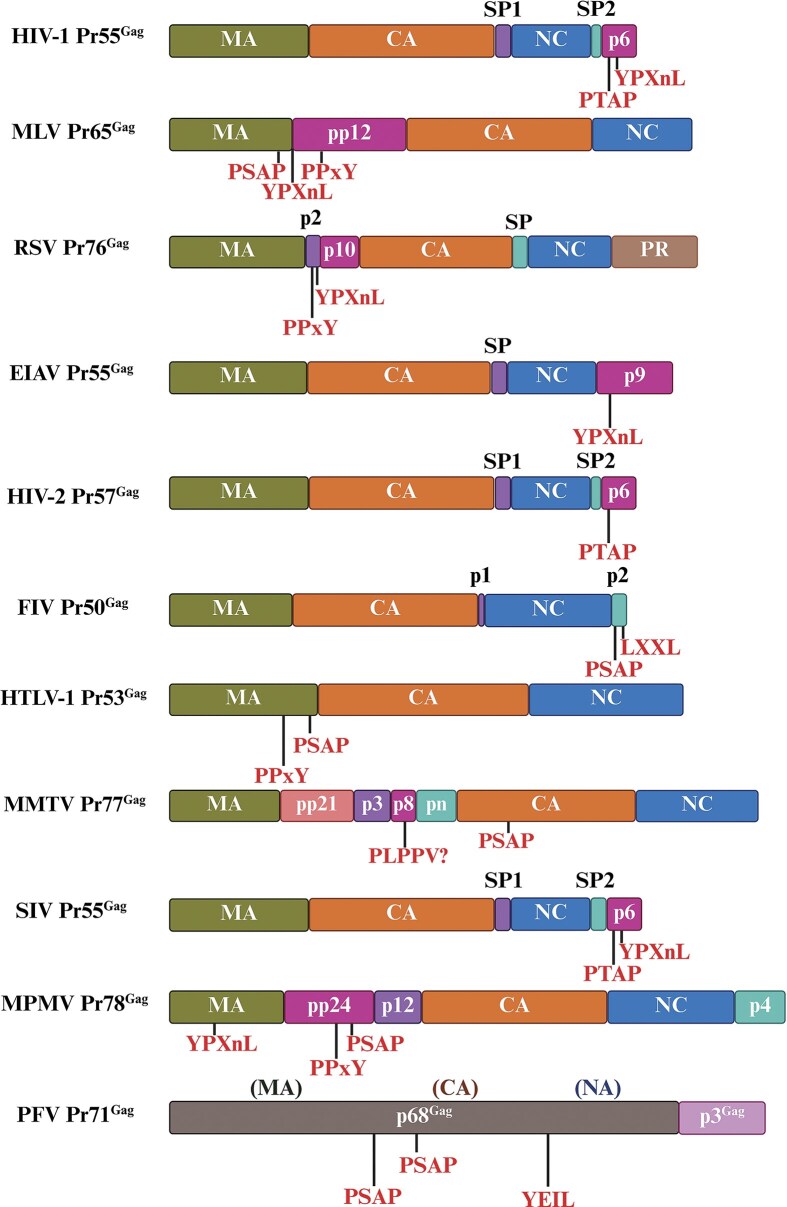 Figure 11