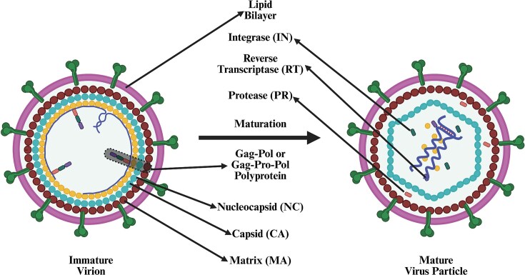 Figure 13