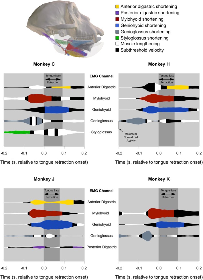 FIGURE 4
