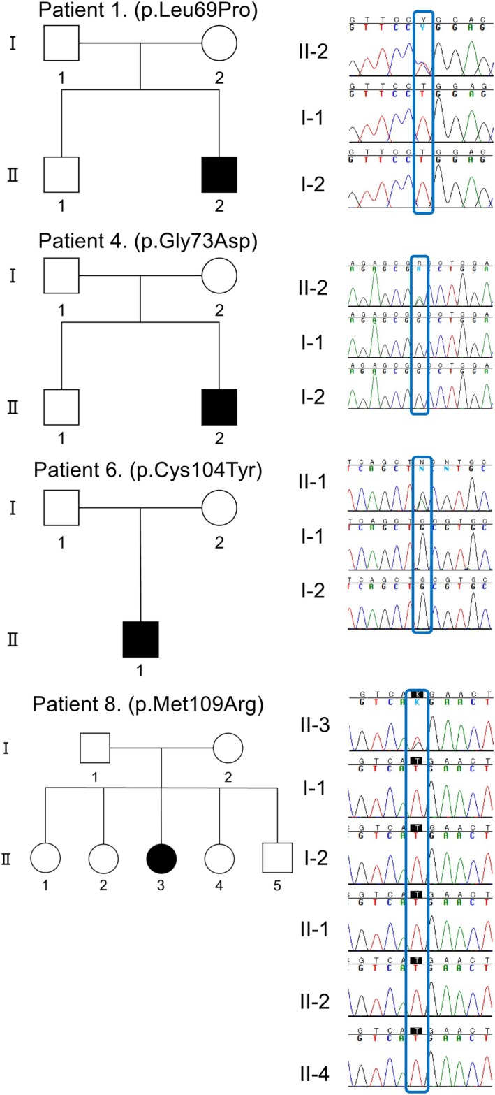 FIGURE 1