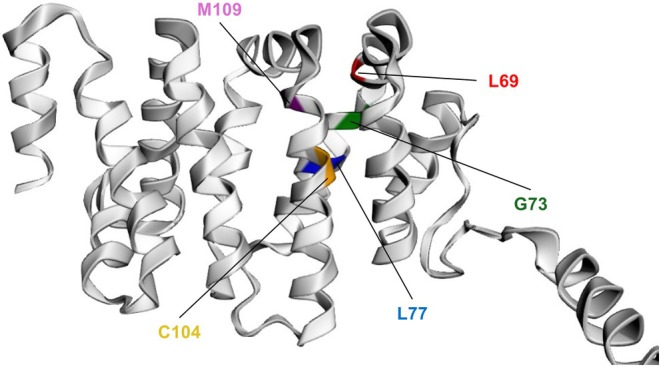 FIGURE 2
