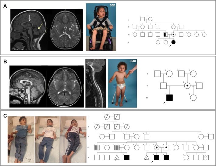 FIGURE 1