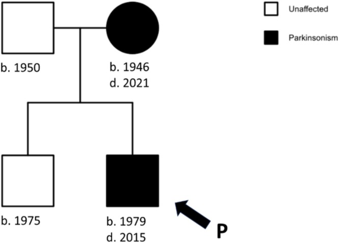 FIGURE 2